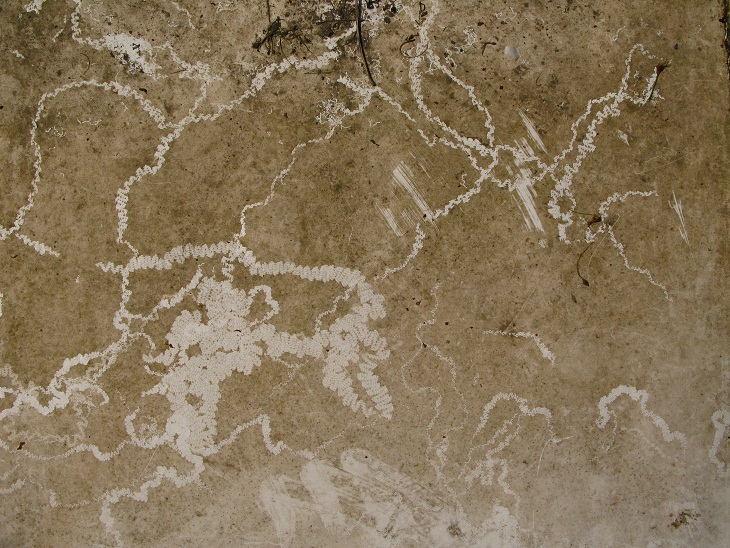  misteriosi disegni visibili solo dallalto 
